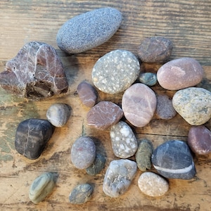 Natural Beach Rocks - (23 pieces)