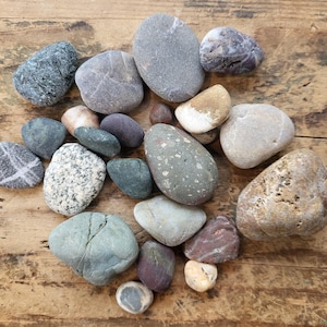 Natural Beach Rocks - (23 pieces)