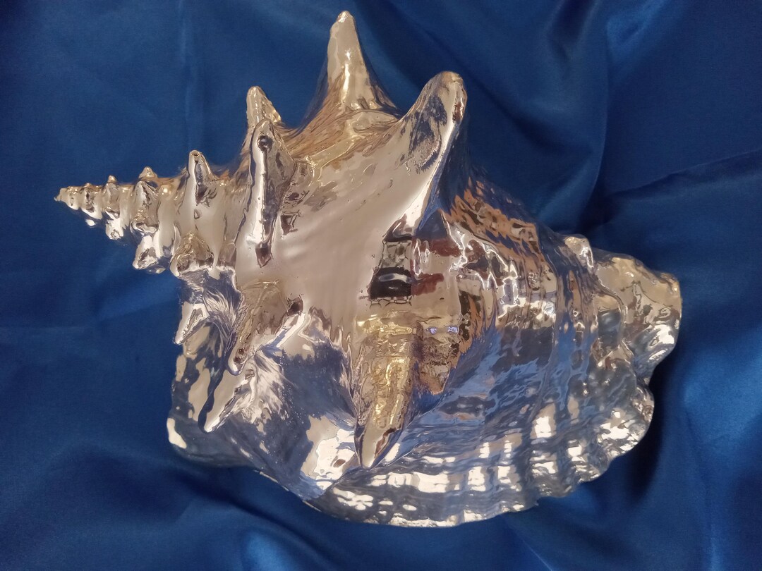 Beautiful Natural Queen Conch Seashell Coated in Pure Mirror Silver - Etsy