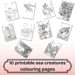 10 Sea Creatures Coloring Pages, Under the Sea Coloring BookPrintable Ocean Animal Sheets for Kids and Adults, Instant Digital Download