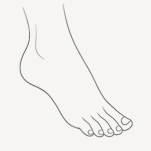 Puede incluir: Un dibujo de línea de un pie descalzo con cinco dedos.