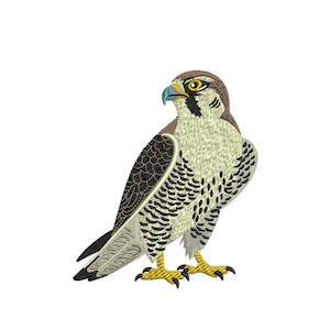 May include: Embroidered image of a falcon, featuring detailed stitching. The bird has a brown head, yellow eyes, and a blue beak. Its chest is light beige, and the wings are a mix of black and beige. The falcon is standing with its yellow talons visible.