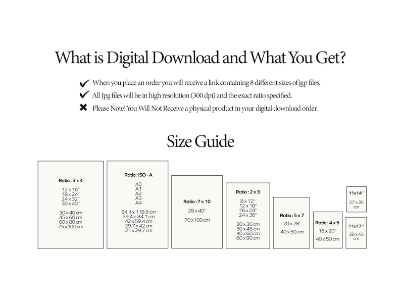 This image shows what size and how many images you will receive if you order a digital product.