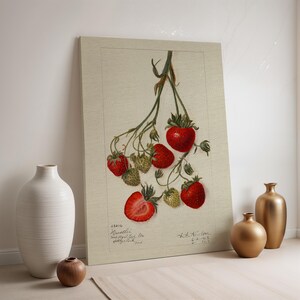Strawberry Botanical Canvas, Vintage Fruit Wall Art Print, Framed Red Berry Illustration, Rustic Kitchen Farmhouse Decor for Nature Lovers