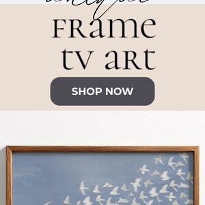 Decorative Bird Painting, Abstract Flying Birds Wall Art, Large Framed Canvas for Modern Home Decor