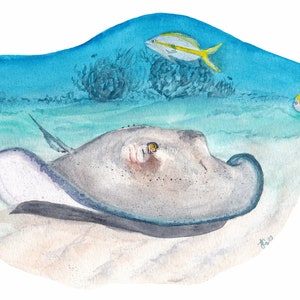 Stingray Art Print Grand Cayman Wall Art, Stingray Watercolor Painting, Beach Art Print, Cayman Islands Art image 2