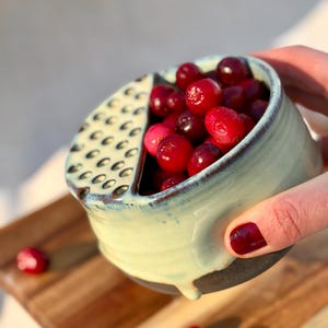 May include: A handmade ceramic bowl with a built-in grater, filled with fresh, bright red cranberries. The bowl has a light blue and brown glaze, held by a hand with dark red nail polish. The bowl sits on a wooden cutting board.