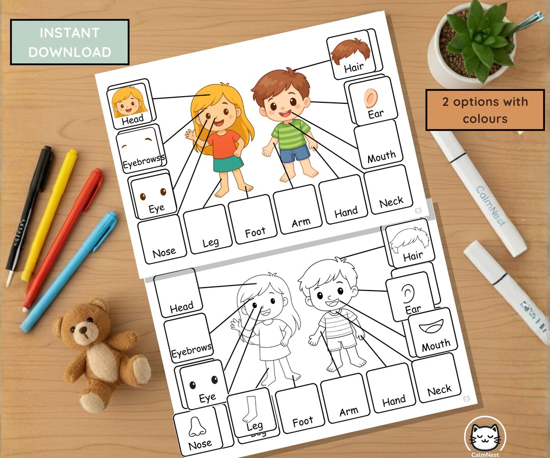 Human Body Parts Matching Activity, Toddler Learning Folder, Montessori ...