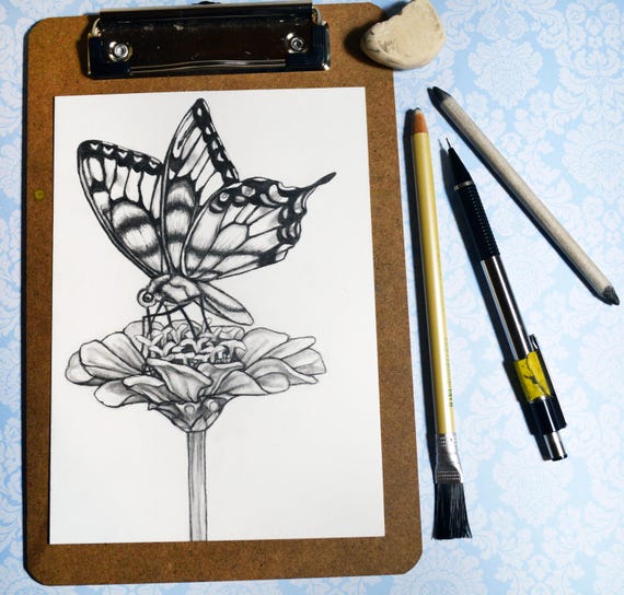 Dibujo original del lápiz de flores de mariposa 71 mariposa - Etsy México