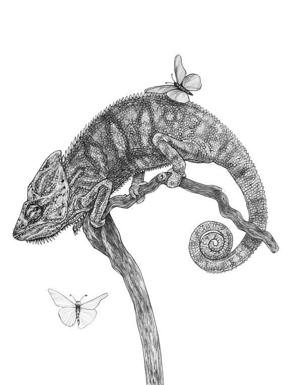 Chameleon Original Pencil - Etsy