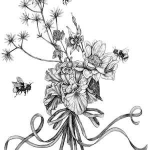 Bumble Bee Pencil Drawing Illustration (original) - Pollinators 1
