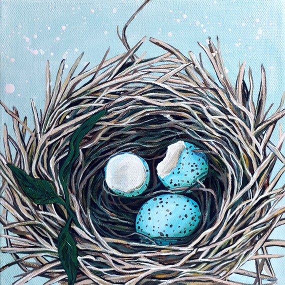 Ninho de Pássaro Pintando Ovo Quebrado - 3 - Etsy Portugal, image size:570x570