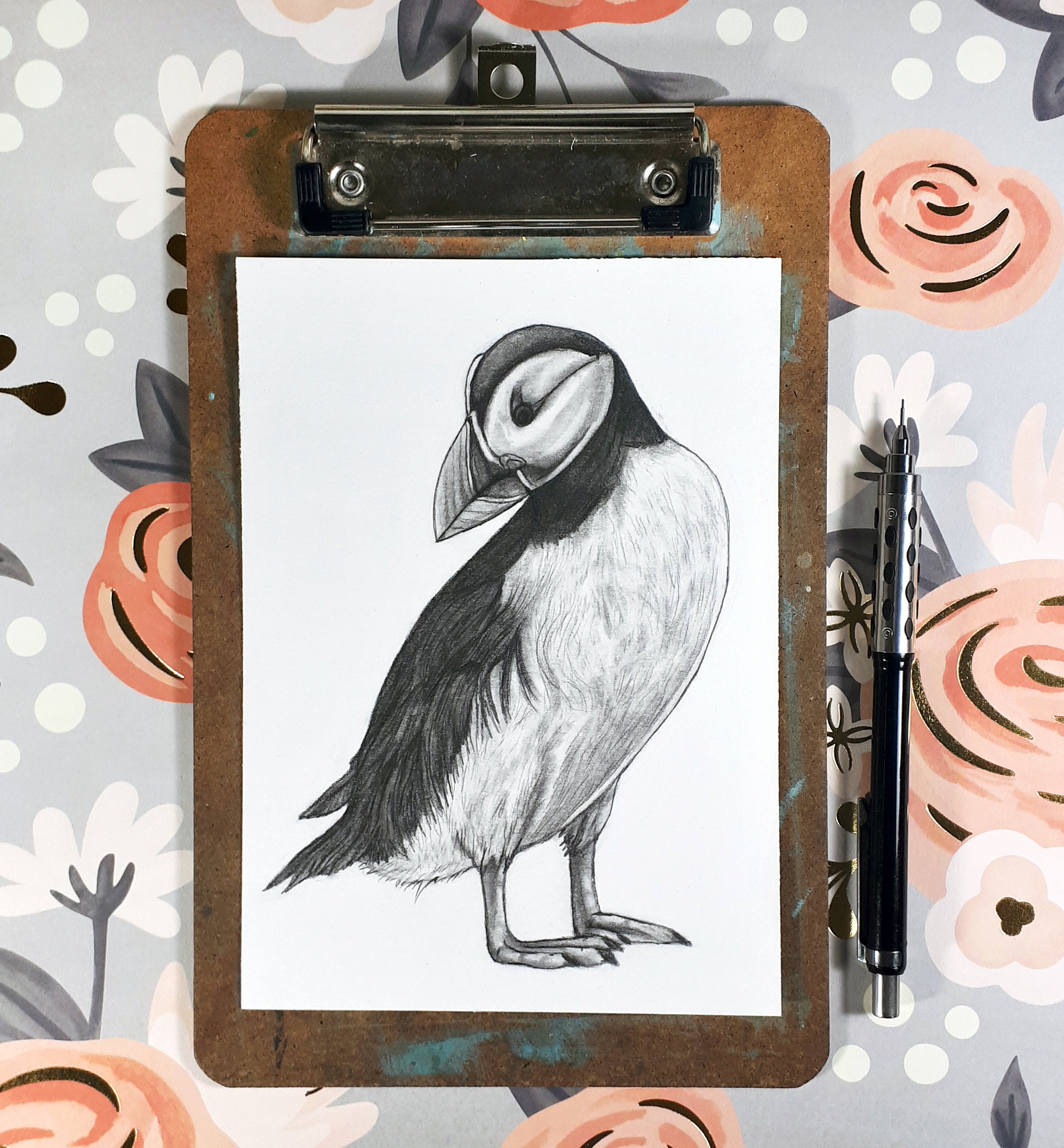 パフィン オリジナル鉛筆動物海鳥の絵 - 115 - Etsy 日本