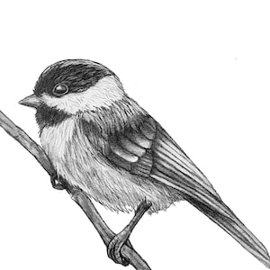 Dibujo original a lápiz de un carbonero - 129