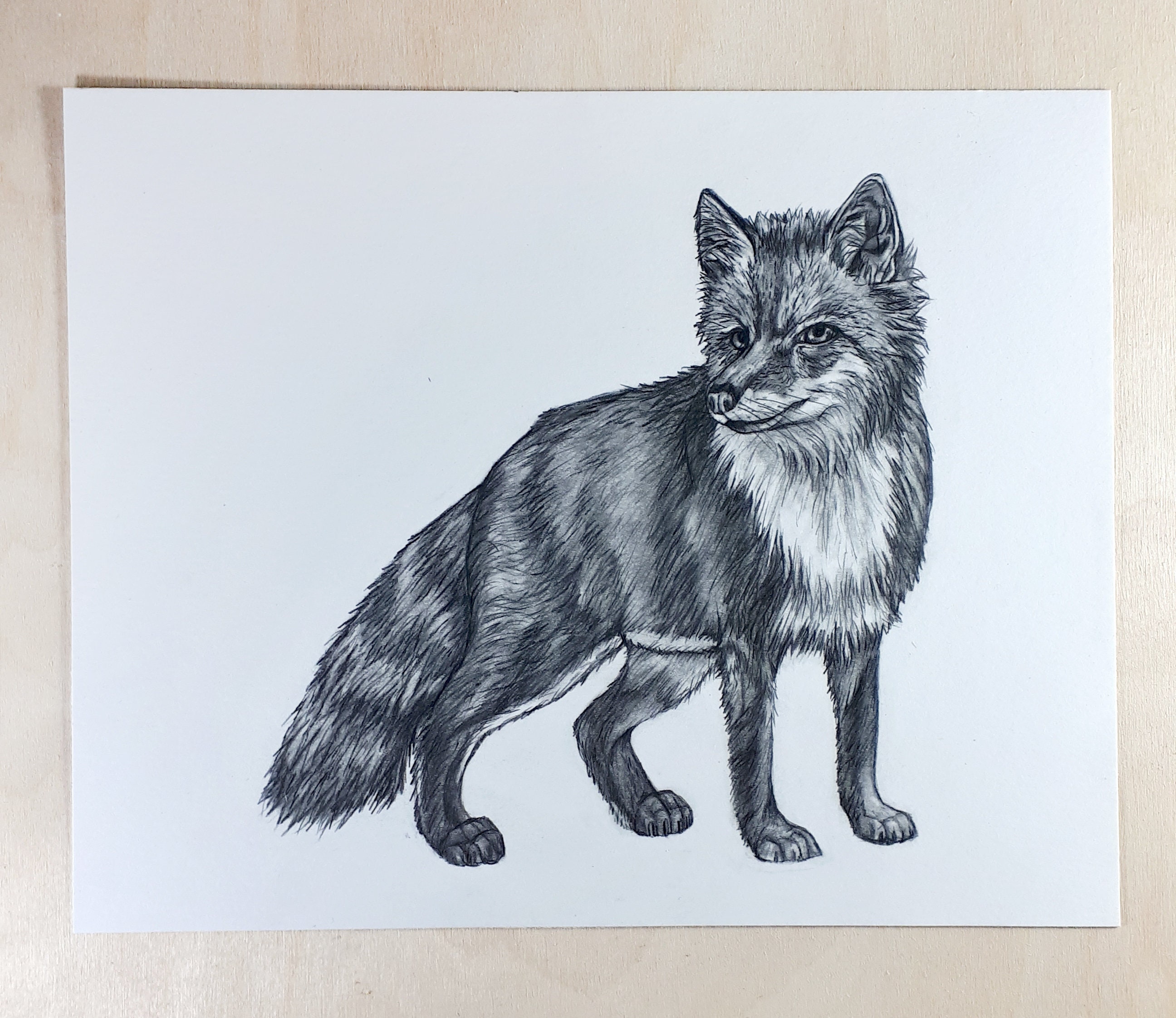 Image result for Easy Draw Red Fox  Fox drawing Cute fox drawing Fox art