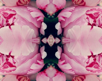 Floral Kaleidoscope ll Digital Print