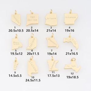 Peut inclure: Charm en métal doré en forme d'États américains, dont le Nevada, le Nouveau-Mexique, l'Arizona, l'Arkansas, le Rhode Island, l'Indiana, le Missouri, la Floride, le Vermont, l'Alabama, le Minnesota et New York. Chaque breloque est gravée.