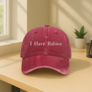 I Have Rabies Embroidered Hat, Funny Humor Embroidery Baseball Cap, Sarcasm Hat, Meme Hat, Summer Gift