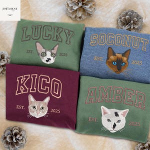 Op maat geborduurd sweatshirt kat, huisdier geborduurde hoodie op maat, gepersonaliseerd shirt voor hond en kat, Halloweencadeau, kerstcadeau voor haar