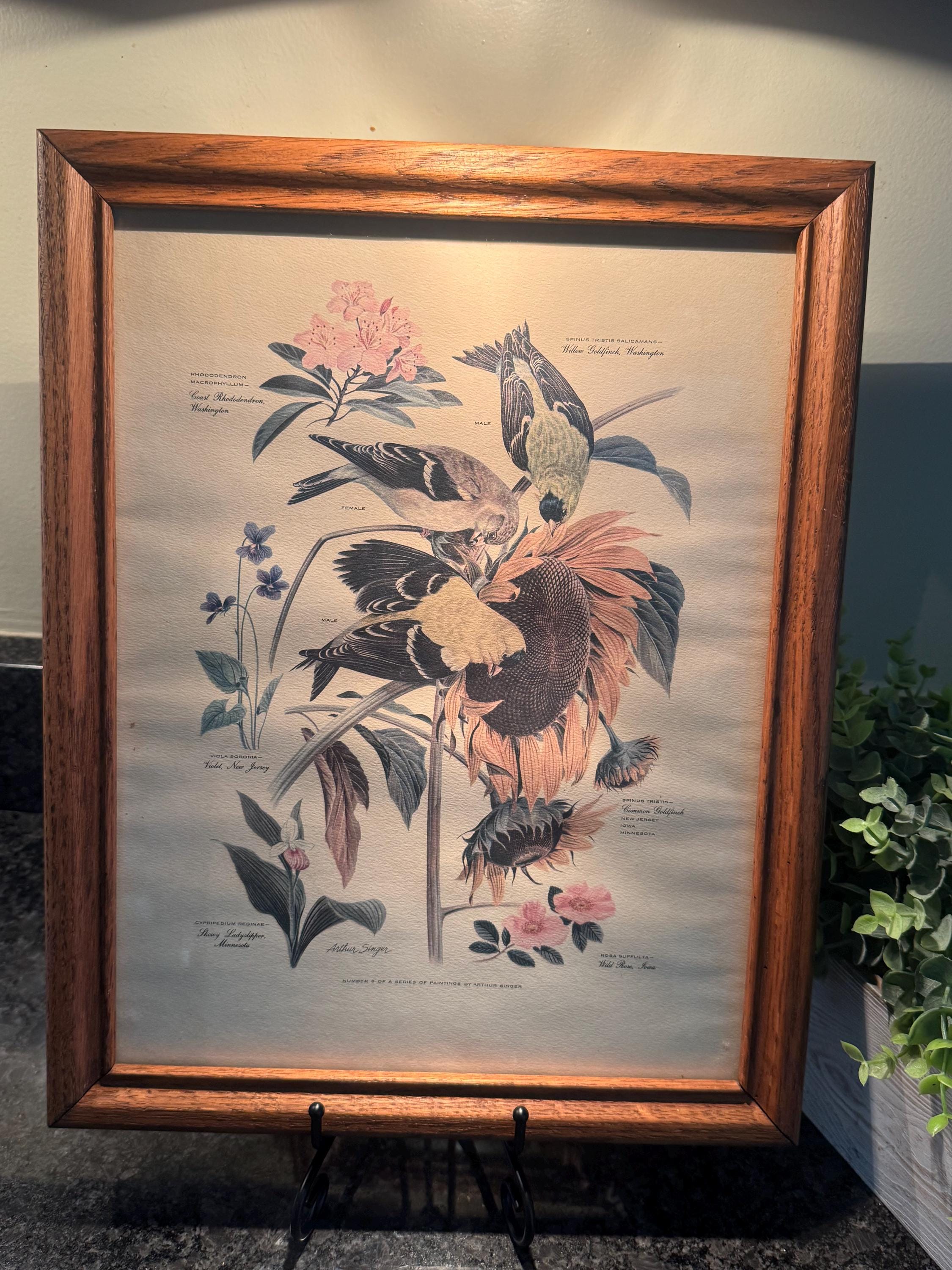Arthur Singer Bird Print - Etsy