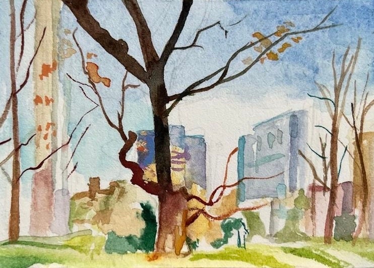 Madison Square Park Print - Etsy