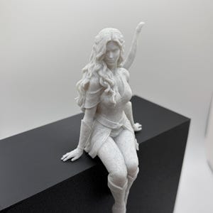Fae High Lord & Huntress Shelf Sitters | BookTok Decor Gift | Romantasy Bookish Buddies | High Court Faeries Huntress Fae Female