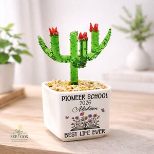May include: A green glass cactus with red flowers sits in a white square ceramic pot filled with small stones. The pot features the text PIONEER SCHOOL 2026, the name Madison, a floral illustration above an open book, and BEST LIFE EVER.