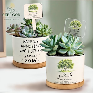 9th Anniversary Willow Tree Gift, 9 Year Anniversary Willow Plant Pot, Willow Tree Flower Pot, 9th Anniversary Gifts For Couple, Willow Gift