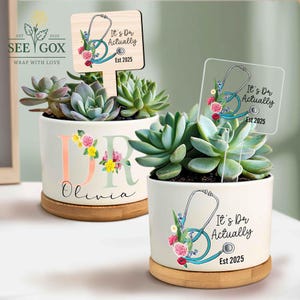 May include: Two white ceramic planters with succulents, each featuring a sign that reads "It's Dr Actually Est 2025". One planter has "DR Olivia" in floral letters. The planters sit on wooden saucers. The signs have a stethoscope design.