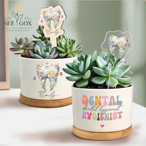 May include: Two white ceramic planters with succulents. One has a wooden tooth-shaped stake and the name "Emily". The other has the words "Dental Hygienist". Both planters sit on bamboo saucers.