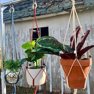 May include: Three hanging plant pots. A blue macrame planter with a disco ball. A white ceramic pot with a red macrame hanger. A terracotta pot with a cream macrame hanger. All are suspended from a metal bar.
