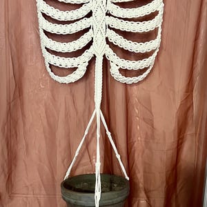 May include: A macrame plant hanger in the shape of a rib cage, suspended from a wooden branch. The off-white cotton design holds a dark brown ceramic pot. The background is a solid, muted red-brown.