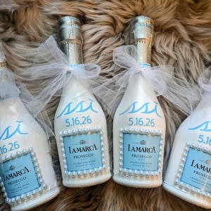 Custom Painted Mini Champagne Bottles- Personalized for any occasion