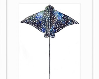 Spotted Eagle Ray