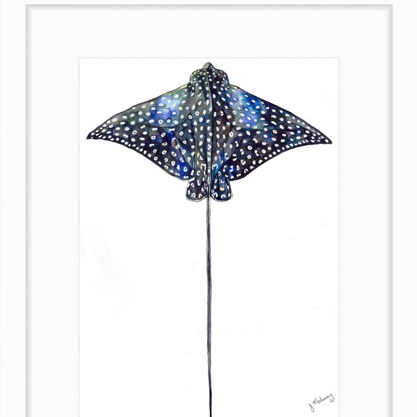 Spotted Eagle Ray