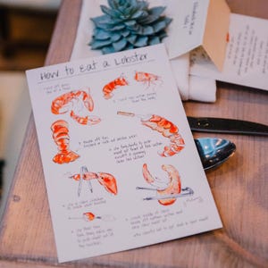 How To Eat a Lobster Table Cards Instructional Cards Lobster Bake Place Setting Bridal Shower Rehearsal Dinner Decor image 4