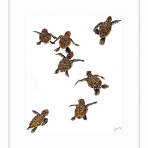 May include: A watercolor painting of seven baby sea turtles swimming in a white background. The turtles are brown and have dark brown markings. The painting is signed "J. Maloney" in the bottom right corner.