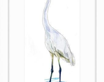 Great White Heron