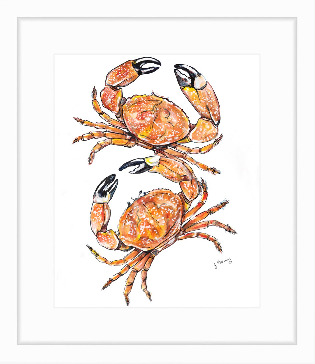 stone-crabs-watercolor-print-etsy