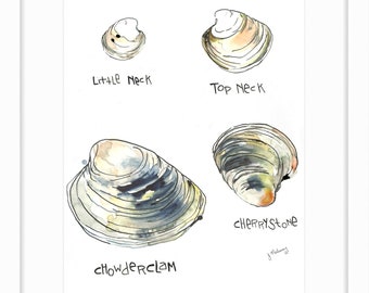 Clams Types Watercolor