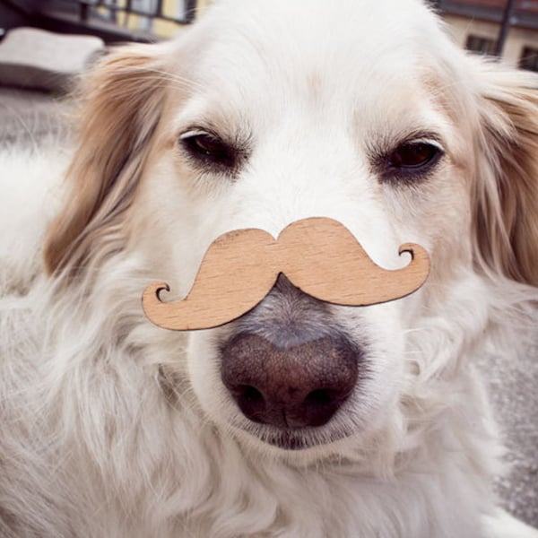 Brosche Moustache