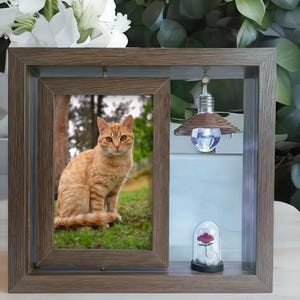 Puede incluir: Una caja de sombra de madera con una foto enmarcada de un gato atigrado naranja. La caja también presenta una lámpara en miniatura y una cúpula de cristal con una rosa roja. El marco tiene un aspecto rústico y envejecido.