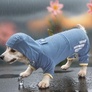 Könnte beinhalten: Ein hellblauer Hunderegenmantel mit Kapuze und Beinbedeckungen. Der Regenmantel hat weiße Streifen auf dem Rücken und gelbe Paspeln. Ein kleiner Hund trägt den Regenmantel und steht im Regen.