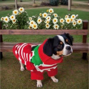 Cozy Handmade Dog Sweater for Stylish Dog Lovers - Knitted Pet Clothes for Your Furry Friend Dog Person Sweater dog lovers sweater unisex