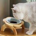 Personalized eco pet bowl ceramic cat bowl shelf Custom Dish, Non-Spill Pet Bowl, Unique Dog Bowl Gift, Custom name , Feeder Stand product logo
