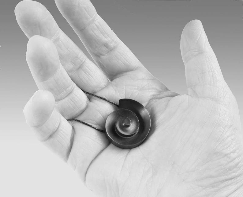 Pu&ograve; includere: Una collana con un ciondolo d'argento a forma di spirale. Il ciondolo &egrave; tenuto in una mano.