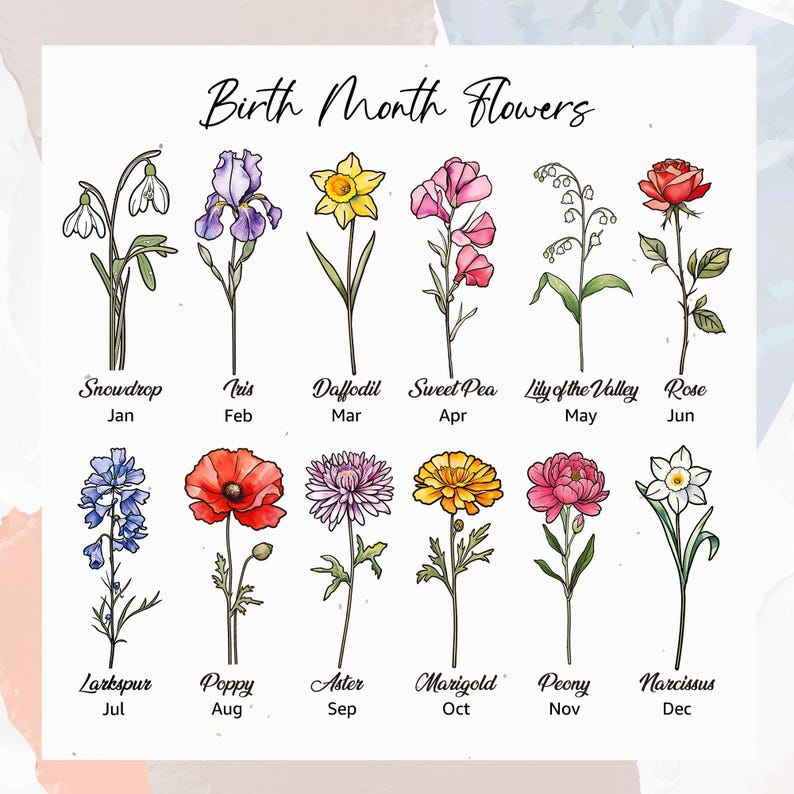 Puede incluir: Un gr&aacute;fico floral titulado "Flores del mes de nacimiento" muestra doce flores diferentes, cada una representando un mes del a&ntilde;o. Las flores incluyen campanilla de invierno, iris, narciso, guisante de olor, lirio de los valles, rosa, espuela de caballero, amapola, aster, cal&eacute;ndula, peon&iacute;a y narciso.