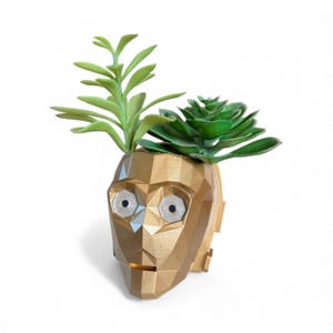 May include: A gold-colored, geometric-shaped planter in the form of a robot head, holding two green succulents. The planter has a metallic finish and features detailed facial features. The plants add a natural contrast to the metallic planter.