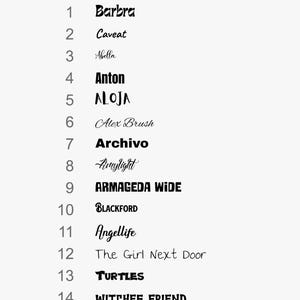 May include: A light gray image displays a list of font options. The title "Font Options" is at the top. Fifteen font names are listed, each with a number. The fonts vary in style, from bold to script, including "Barbra", "Caveat", "Anton", "ALOJA", and "TURTLES".