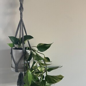 May include: A grey macrame plant hanger with a white ceramic pot and a green variegated plant hanging from it.